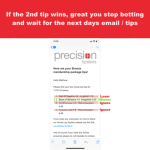 Step 5 of the horse lay betting system