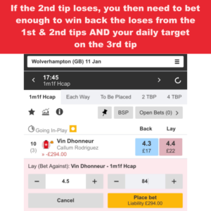 Step 6 of the horse lay betting system